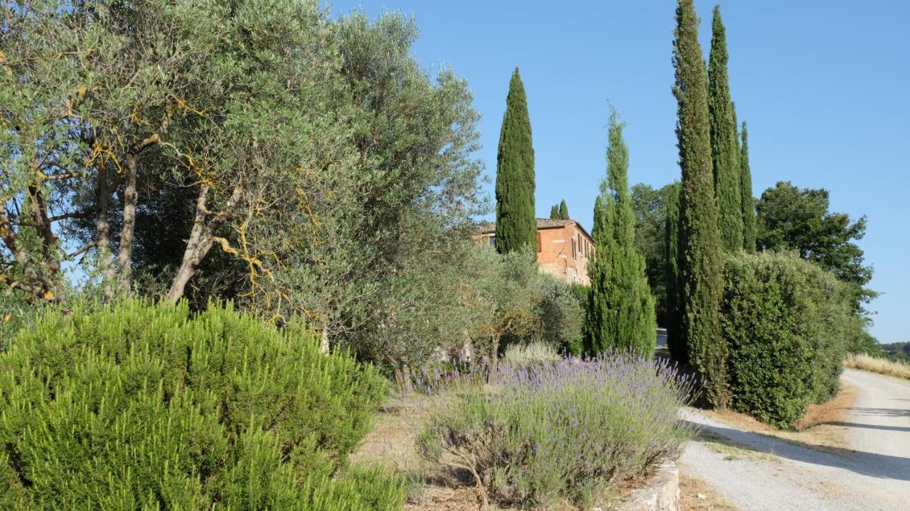 Il Capanno Villa Asciano Exterior photo